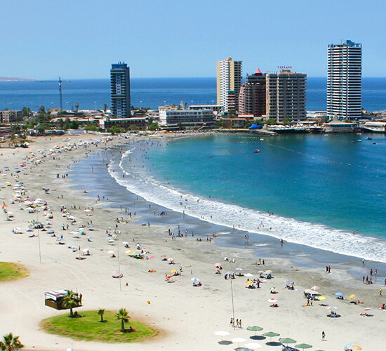 oficina buses sanhueza iquique